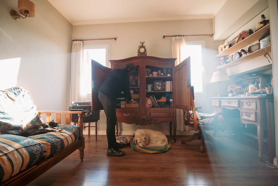 Warm living room with a person organizing a wooden cabinet and a dog resting on the floor.